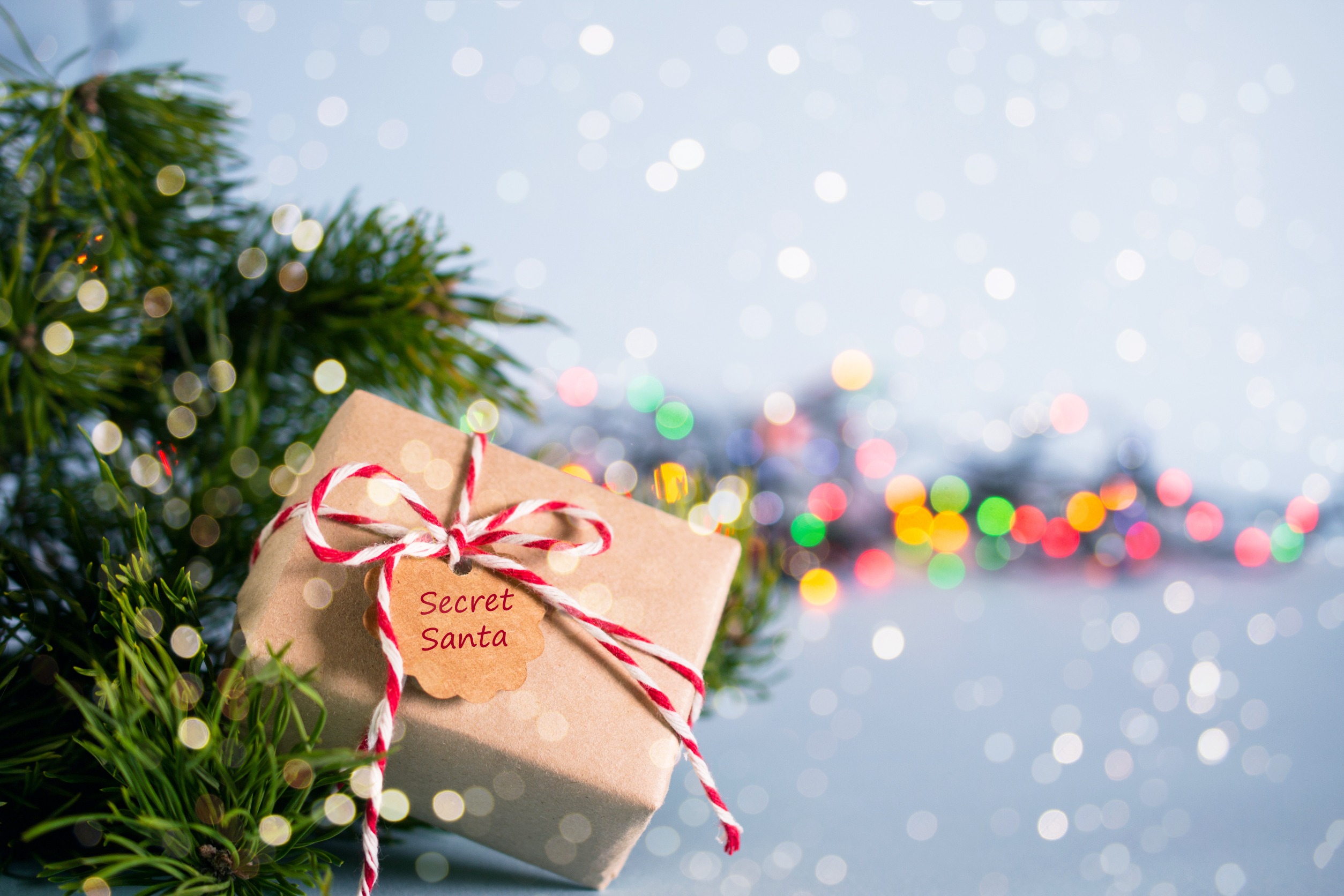 Secret Santa gift and Christmas lights and trees